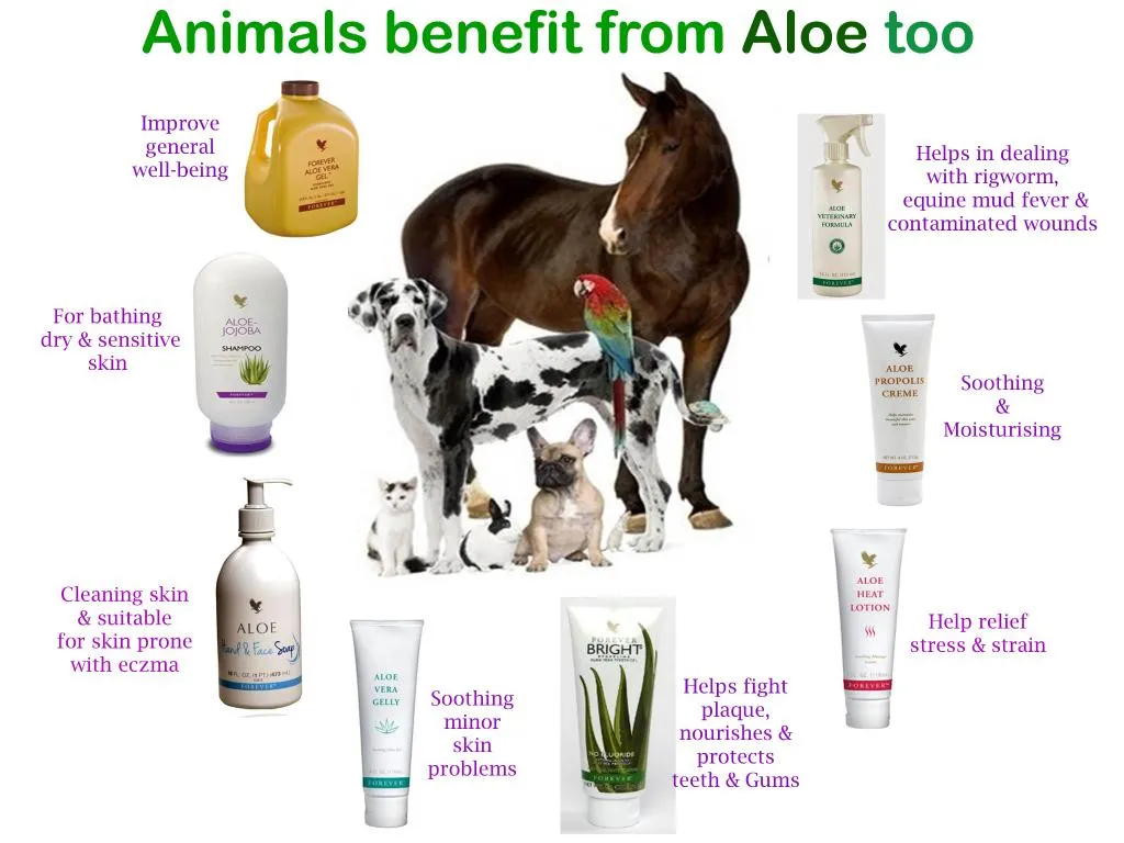 Aloe Vera Gelly