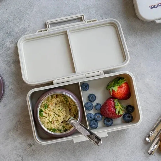 Citron Rectangle Lunch Box - Vehicles