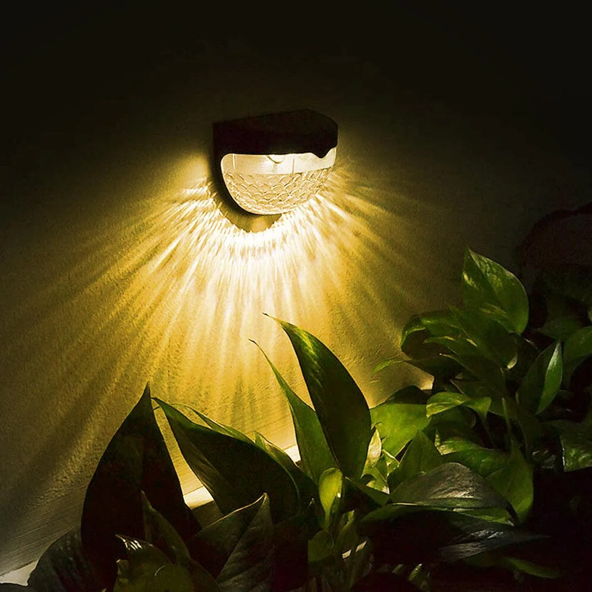 Solar Step Light | Solar Transparent Step Light - Epyz